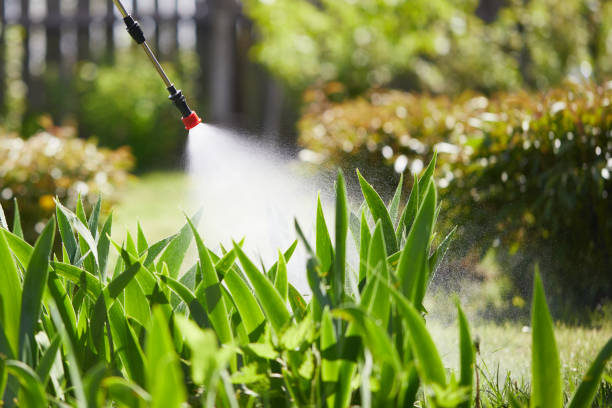 24/7 Emergency Wasp Removal experts in Jackson, LA