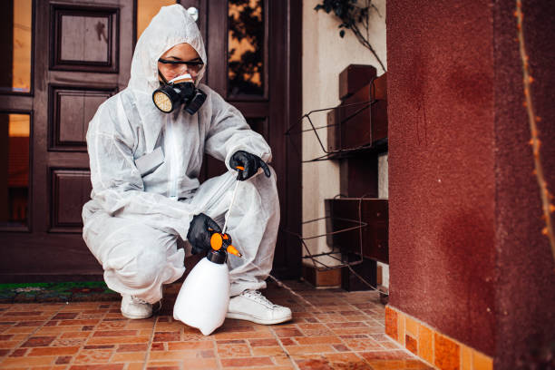 Reliable Wasp Removal contractor in Jackson, LA by Show Me Pest Control